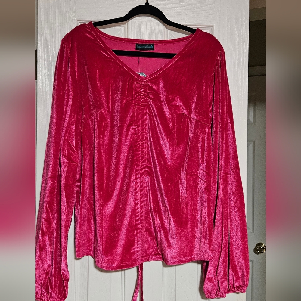 Plus Size Pink Velvet V-Neck Blouse NWT
